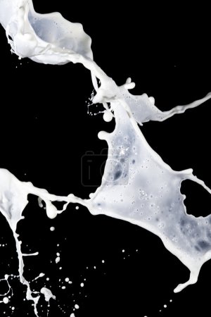 Lait