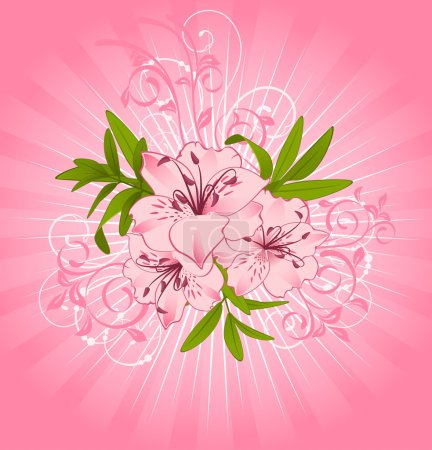 Belle Lily sur le fond .
