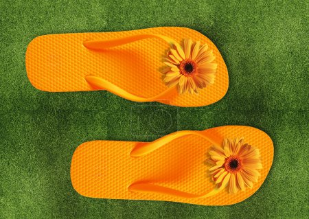 Tongs colorées sur herbe verte 