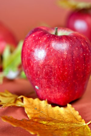 Pommes rouges fraîches 