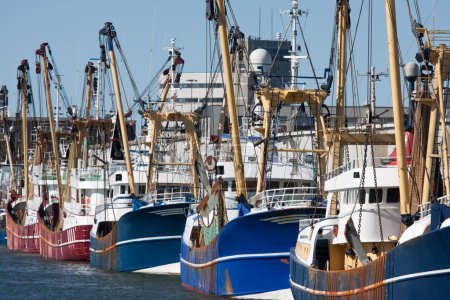 Port hollandais avec des coupeurs de pêche modernes 