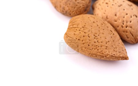 Amandes en coquille 