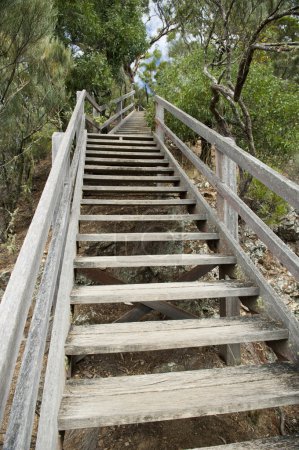 Escaliers en bois 